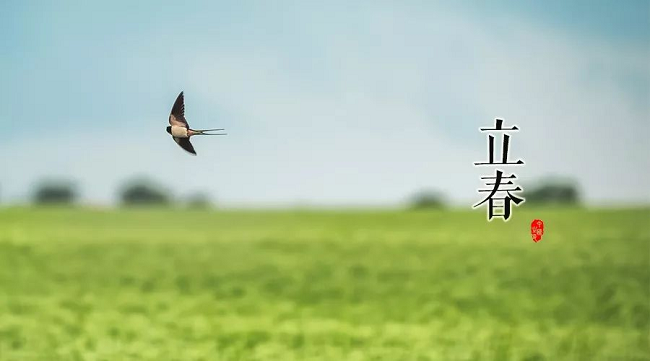 華邦瀛節(jié)氣特輯 | 立春，一年最美好的開始